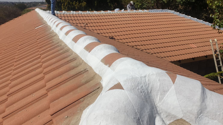Roof Ridge Maintenance waterproofing
